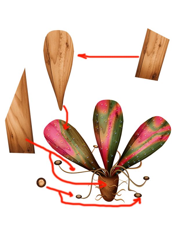 Creation of Ikebana: Step 5